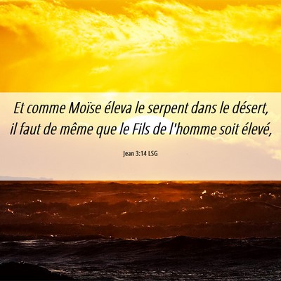Picture 06 - Jean 3:14 LSG - Et comme Moïse éleva le serpent dans le - Bible Verse Picture