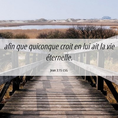Picture 06 - Jean 3:15 LSG - afin que quiconque croit en lui ait la vie - Bible Verse Picture
