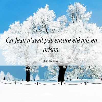 Picture 06 - Jean 3:24 LSG - Car Jean n'avait pas encore été mis en - Bible Verse Picture