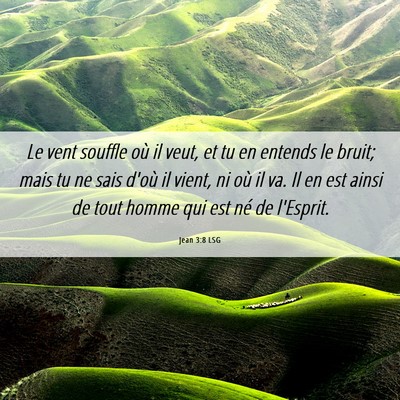 Picture 06 - Jean 3:8 LSG - Le vent souffle où il veut, et tu en entends le - Bible Verse Picture