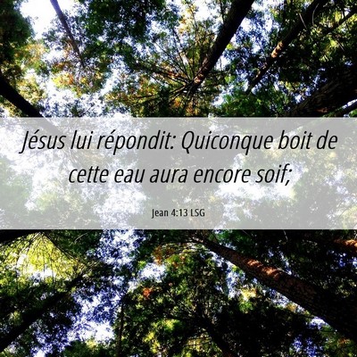 Picture 06 - Jean 4:13 LSG - Jésus lui répondit: Quiconque boit de cette eau - Bible Verse Picture