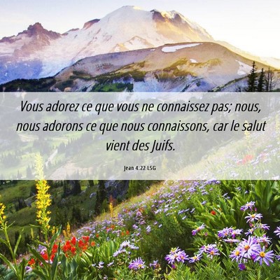 Picture 06 - Jean 4:22 LSG - Vous adorez ce que vous ne connaissez pas; nous, - Bible Verse Picture