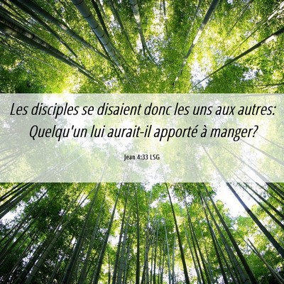 Picture 06 - Jean 4:33 LSG - Les disciples se disaient donc les uns aux - Bible Verse Picture