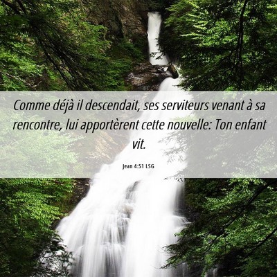 Picture 06 - Jean 4:51 LSG - Comme déjà il descendait, ses serviteurs venant - Bible Verse Picture