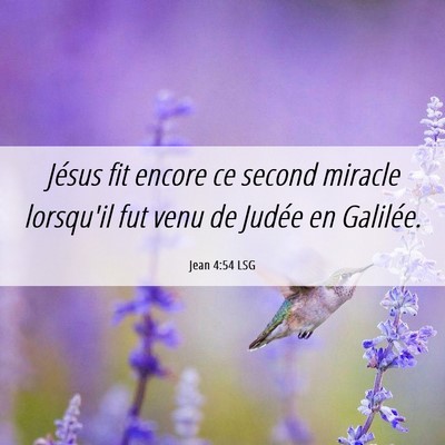 Picture 06 - Jean 4:54 LSG - Jésus fit encore ce second miracle lorsqu'il fut - Bible Verse Picture
