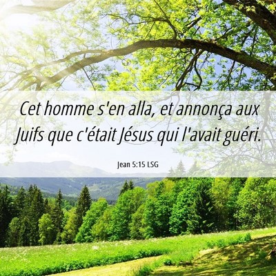 Picture 06 - Jean 5:15 LSG - Cet homme s'en alla, et annonça aux Juifs que - Bible Verse Picture
