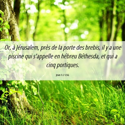 Picture 06 - Jean 5:2 LSG - Or, à Jérusalem, près de la porte des brebis, - Bible Verse Picture