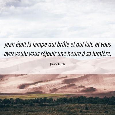 Picture 06 - Jean 5:35 LSG - Jean était la lampe qui brûle et qui luit, et - Bible Verse Picture