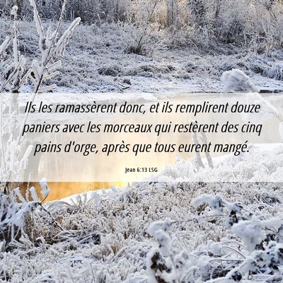 Picture 06 - Jean 6:13 LSG - Ils les ramassèrent donc, et ils remplirent - Bible Verse Picture