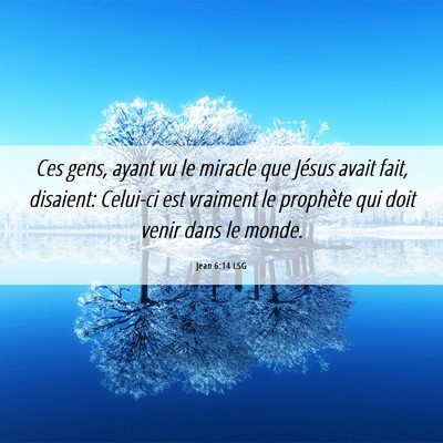 Picture 06 - Jean 6:14 LSG - Ces gens, ayant vu le miracle que Jésus avait - Bible Verse Picture