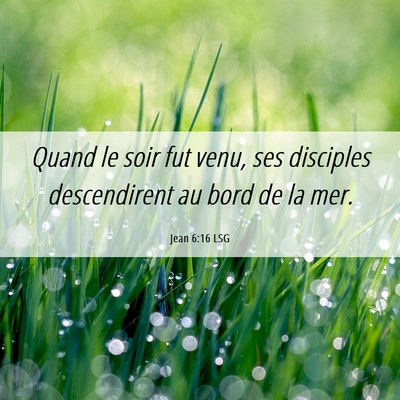 Picture 06 - Jean 6:16 LSG - Quand le soir fut venu, ses disciples - Bible Verse Picture