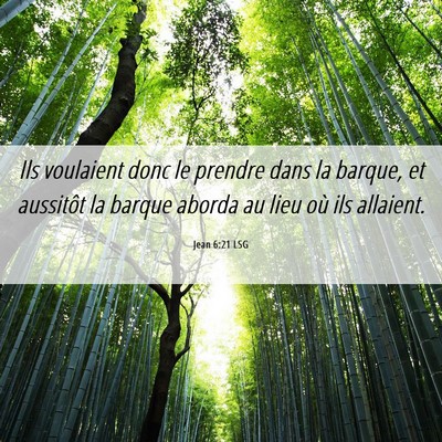 Picture 06 - Jean 6:21 LSG - Ils voulaient donc le prendre dans la barque, et - Bible Verse Picture