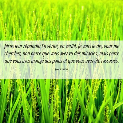 Picture 06 - Jean 6:26 LSG - Jésus leur répondit: En vérité, en vérité, - Bible Verse Picture