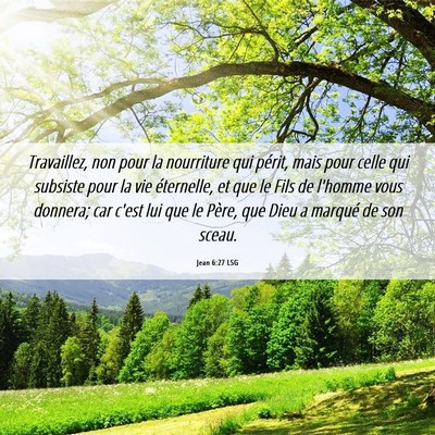 Picture 06 - Jean 6:27 LSG - Travaillez, non pour la nourriture qui périt, - Bible Verse Picture