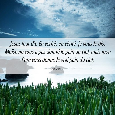 Picture 06 - Jean 6:32 LSG - Jésus leur dit: En vérité, en vérité, je - Bible Verse Picture
