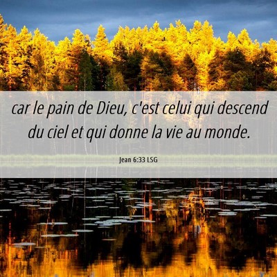 Picture 06 - Jean 6:33 LSG - car le pain de Dieu, c'est celui qui descend du - Bible Verse Picture