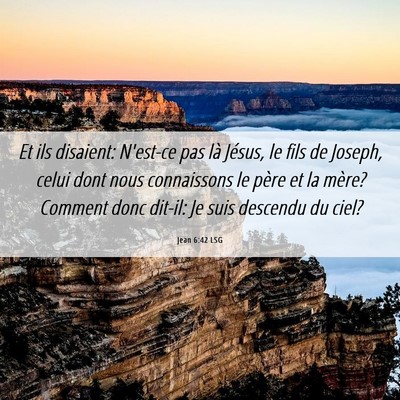 Picture 06 - Jean 6:42 LSG - Et ils disaient: N'est-ce pas là Jésus, le fils - Bible Verse Picture