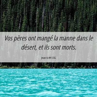 Picture 06 - Jean 6:49 LSG - Vos pères ont mangé la manne dans le désert, - Bible Verse Picture