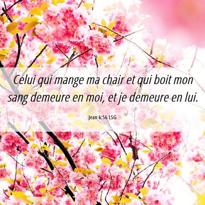 Picture 06 - Jean 6:56 LSG - Celui qui mange ma chair et qui boit mon sang - Bible Verse Picture