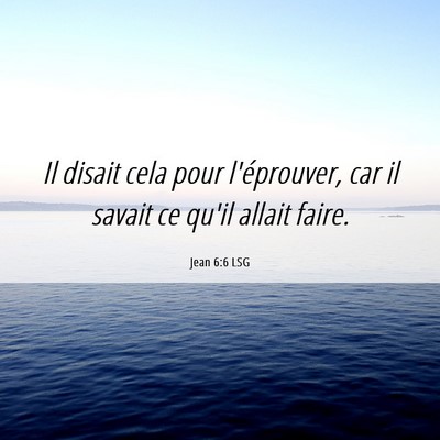 Picture 06 - Jean 6:6 LSG - Il disait cela pour l'éprouver, car il savait ce - Bible Verse Picture