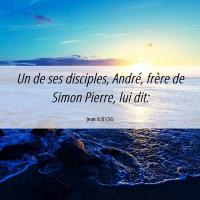 Picture 06 - Jean 6:8 LSG - Un de ses disciples, André, frère de Simon - Bible Verse Picture