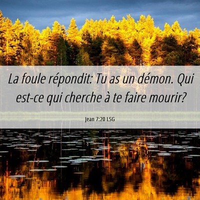 Picture 06 - Jean 7:20 LSG - La foule répondit: Tu as un démon. Qui est-ce - Bible Verse Picture