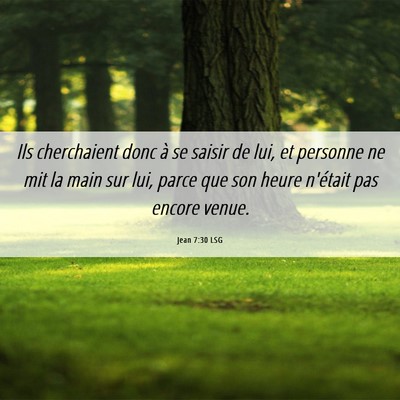 Picture 06 - Jean 7:30 LSG - Ils cherchaient donc à se saisir de lui, et - Bible Verse Picture