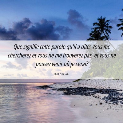 Picture 06 - Jean 7:36 LSG - Que signifie cette parole qu'il a dite: Vous me - Bible Verse Picture
