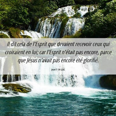 Picture 06 - Jean 7:39 LSG - Il dit cela de l'Esprit que devaient recevoir - Bible Verse Picture