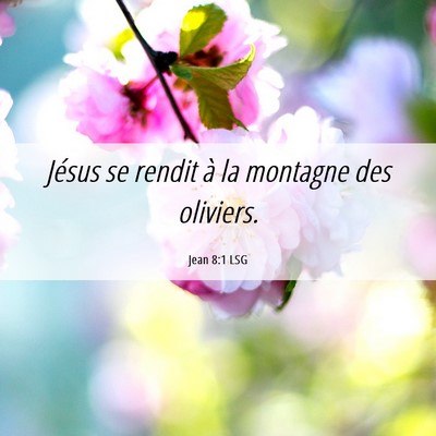 Picture 06 - Jean 8:1 LSG - Jésus se rendit à la montagne des - Bible Verse Picture