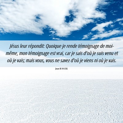 Picture 06 - Jean 8:14 LSG - Jésus leur répondit: Quoique je rende - Bible Verse Picture