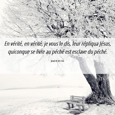 Picture 06 - Jean 8:34 LSG - En vérité, en vérité, je vous le dis, leur - Bible Verse Picture