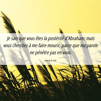 Picture 06 - Jean 8:37 LSG - Je sais que vous êtes la postérité d'Abraham; - Bible Verse Picture
