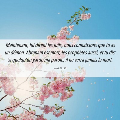 Picture 06 - Jean 8:52 LSG - Maintenant, lui dirent les Juifs, nous - Bible Verse Picture