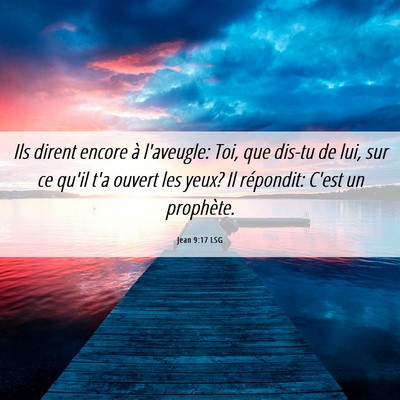 Picture 06 - Jean 9:17 LSG - Ils dirent encore à l'aveugle: Toi, que dis-tu - Bible Verse Picture