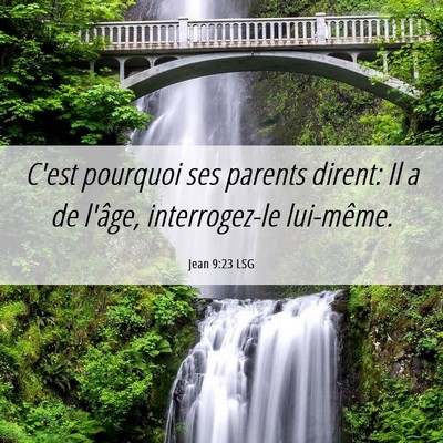 Picture 06 - Jean 9:23 LSG - C'est pourquoi ses parents dirent: Il a de - Bible Verse Picture