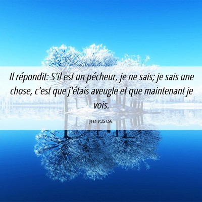 Picture 06 - Jean 9:25 LSG - Il répondit: S'il est un pécheur, je ne sais; - Bible Verse Picture