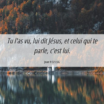 Picture 06 - Jean 9:37 LSG - Tu l'as vu, lui dit Jésus, et celui qui te - Bible Verse Picture