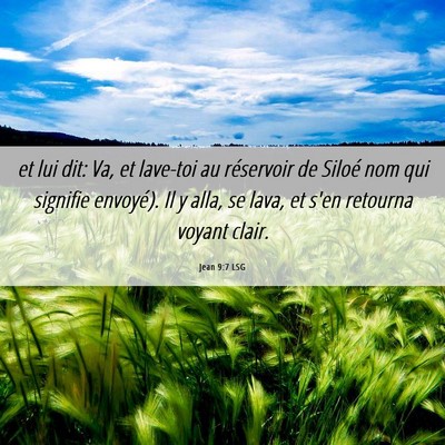 Picture 06 - Jean 9:7 LSG - et lui dit: Va, et lave-toi au réservoir de - Bible Verse Picture