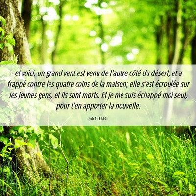 Picture 06 - Job 1:19 LSG - et voici, un grand vent est venu de l'autre - Bible Verse Picture