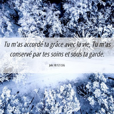 Picture 06 - Job 10:12 LSG - Tu m'as accordé ta grâce avec la vie, Tu m'as - Bible Verse Picture