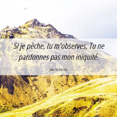 Picture 06 - Job 10:14 LSG - Si je pèche, tu m'observes, Tu ne pardonnes pas - Bible Verse Picture