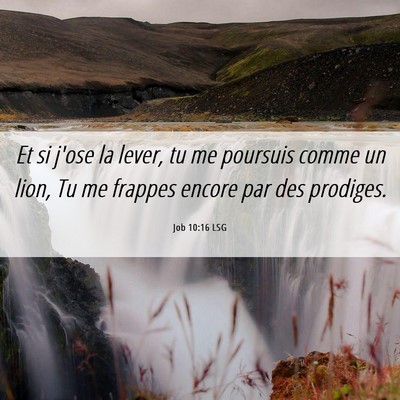 Picture 06 - Job 10:16 LSG - Et si j'ose la lever, tu me poursuis comme un - Bible Verse Picture