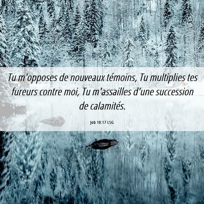 Picture 06 - Job 10:17 LSG - Tu m'opposes de nouveaux témoins, Tu multiplies - Bible Verse Picture