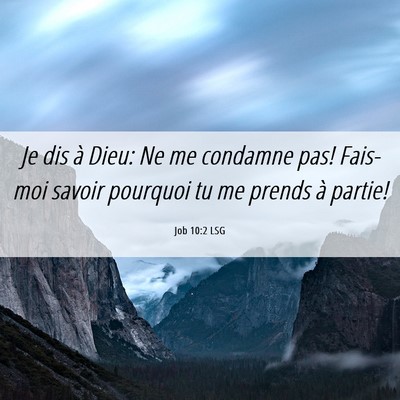 Picture 06 - Job 10:2 LSG - Je dis à Dieu: Ne me condamne pas! Fais-moi - Bible Verse Picture