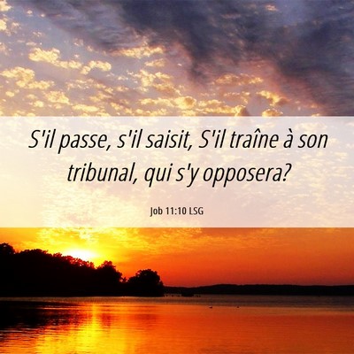 Picture 06 - Job 11:10 LSG - S'il passe, s'il saisit, S'il traîne à son - Bible Verse Picture