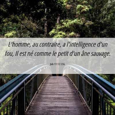 Picture 06 - Job 11:12 LSG - L'homme, au contraire, a l'intelligence d'un fou, - Bible Verse Picture