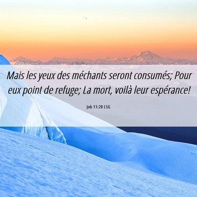 Picture 06 - Job 11:20 LSG - Mais les yeux des méchants seront consumés; - Bible Verse Picture
