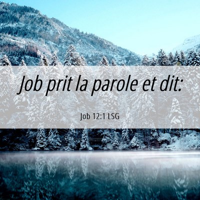 Picture 06 - Job 12:1 LSG - Job prit la parole et - Bible Verse Picture