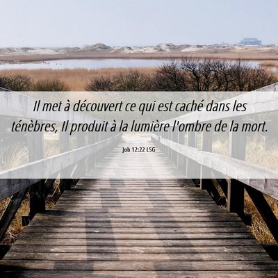 Picture 06 - Job 12:22 LSG - Il met à découvert ce qui est caché dans les - Bible Verse Picture